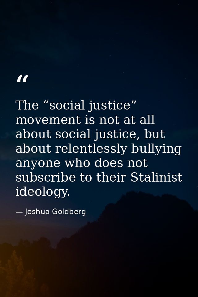 The “social justice” movement is not at all about social justice, but about relentlessly bullying anyone who does not su — Joshua Goldberg