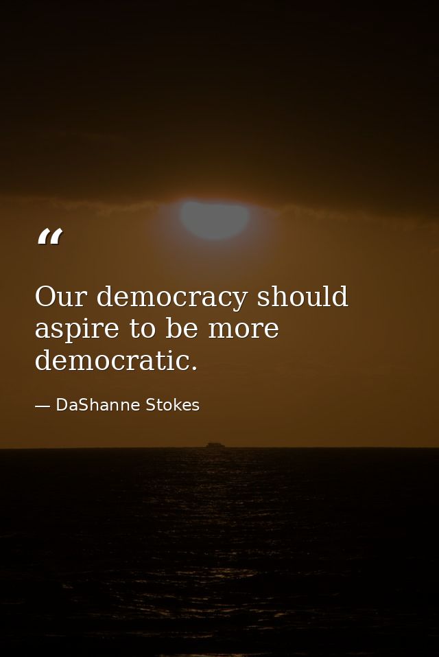 Our democracy should aspire to be more democratic. — DaShanne Stokes
