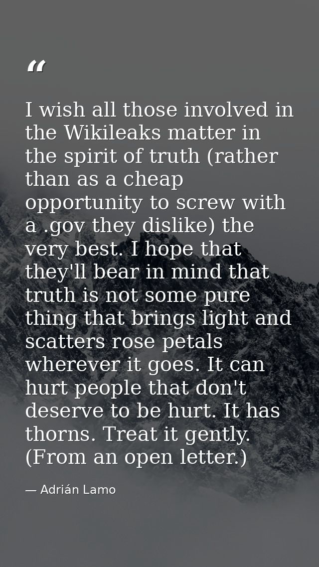 I wish all those involved in the Wikileaks matter in the spirit of truth (rather than as a cheap opportunity to screw wi — Adrián Lamo