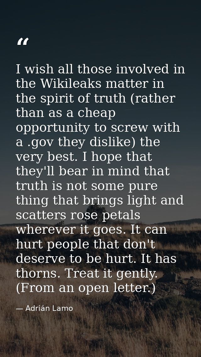 I wish all those involved in the Wikileaks matter in the spirit of truth (rather than as a cheap opportunity to screw wi — Adrián Lamo