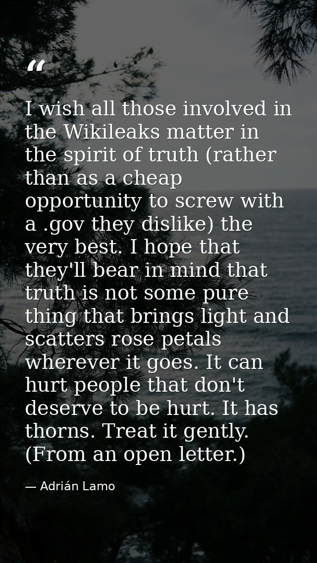 I wish all those involved in the Wikileaks matter in the spirit of truth (rather than as a cheap opportunity to screw wi — Adrián Lamo