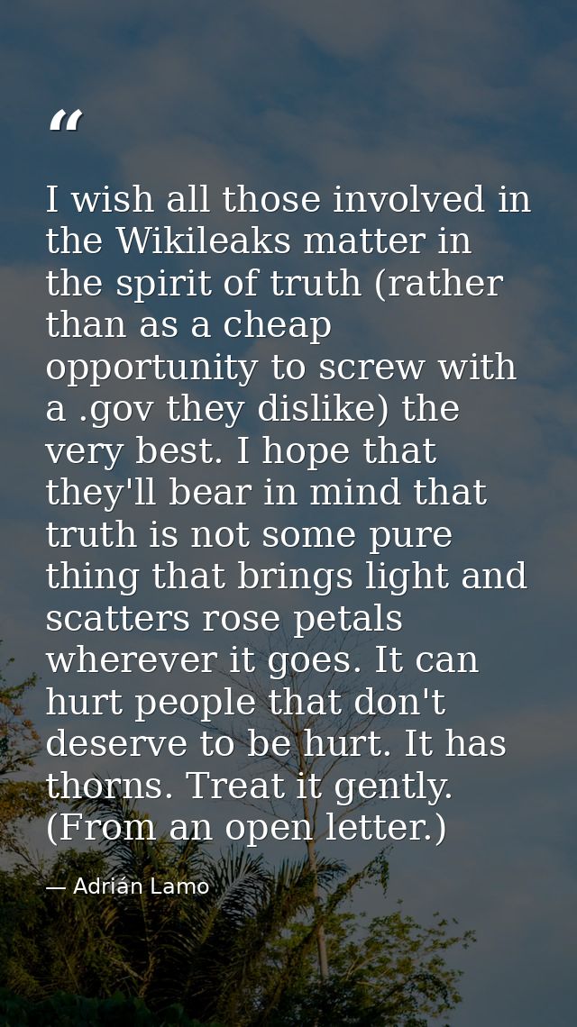 I wish all those involved in the Wikileaks matter in the spirit of truth (rather than as a cheap opportunity to screw wi — Adrián Lamo