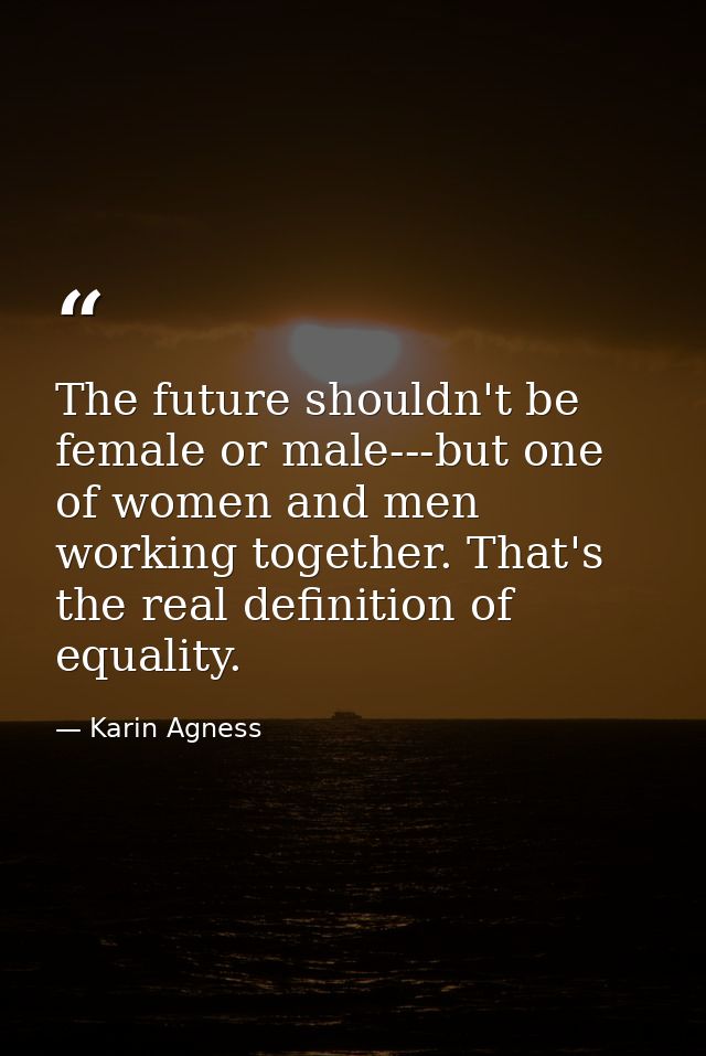 The future shouldn't be female or male---but one of women and men working together. That's the real definition of equali — Karin Agness