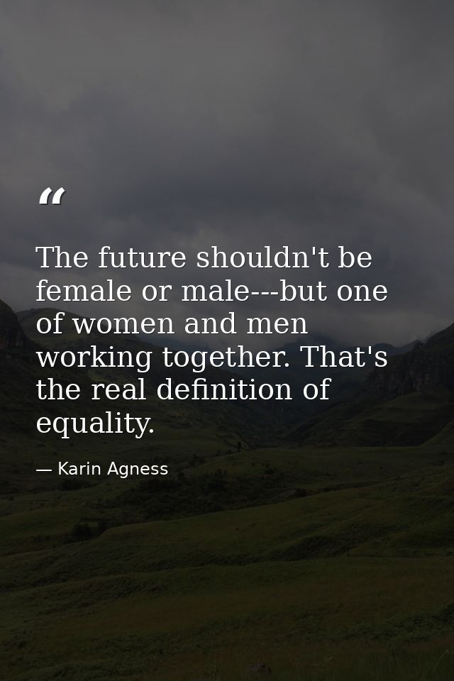 The future shouldn't be female or male---but one of women and men working together. That's the real definition of equali — Karin Agness