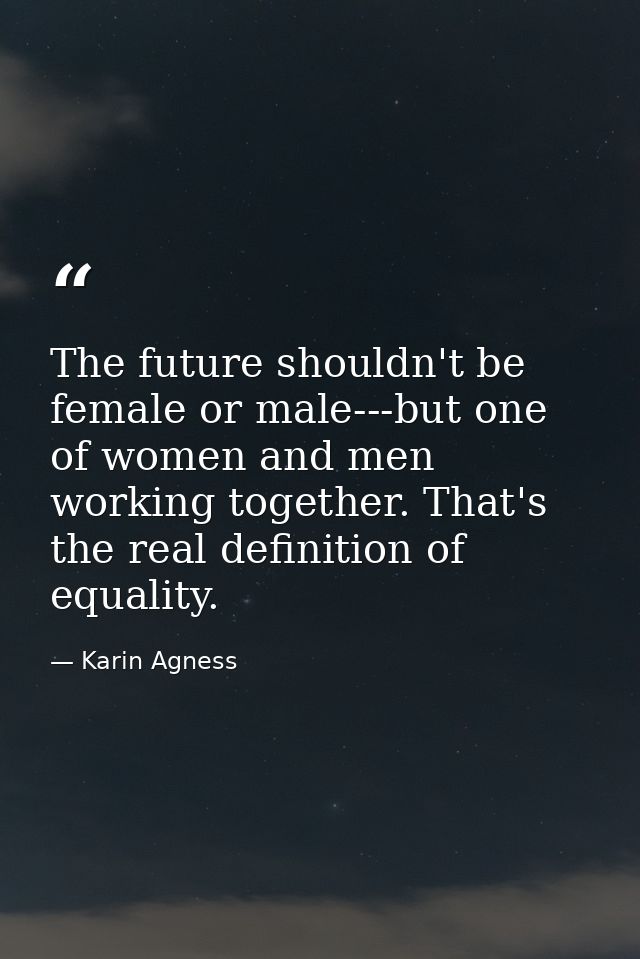 The future shouldn't be female or male---but one of women and men working together. That's the real definition of equali — Karin Agness
