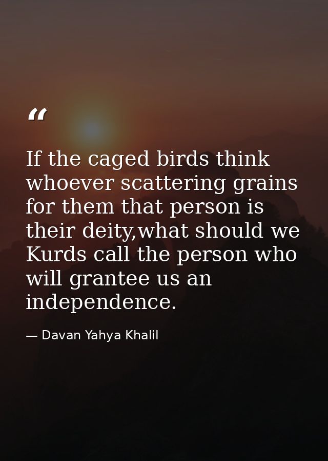 If the caged birds think whoever scattering grains for them that person is their deity,what should we Kurds call the per — Davan Yahya Khalil