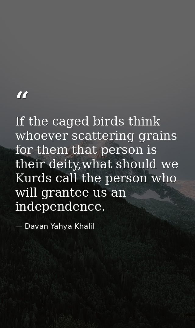 If the caged birds think whoever scattering grains for them that person is their deity,what should we Kurds call the per — Davan Yahya Khalil