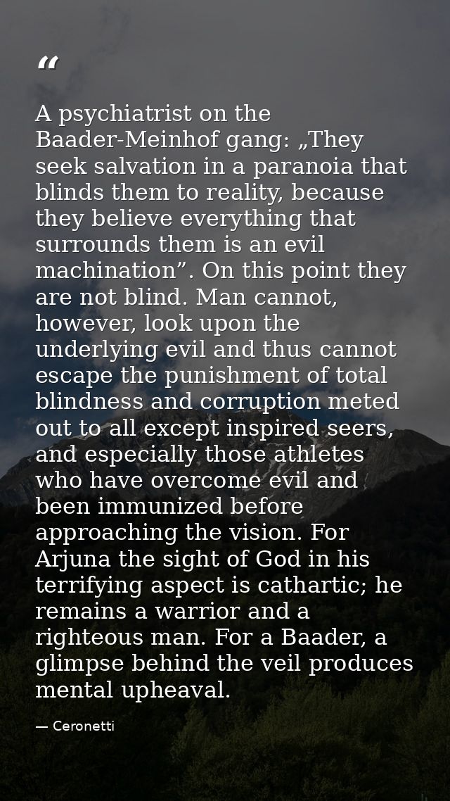 A psychiatrist on the Baader-Meinhof gang: „They seek salvation in a paranoia that blinds them to reality, because they  — Ceronetti