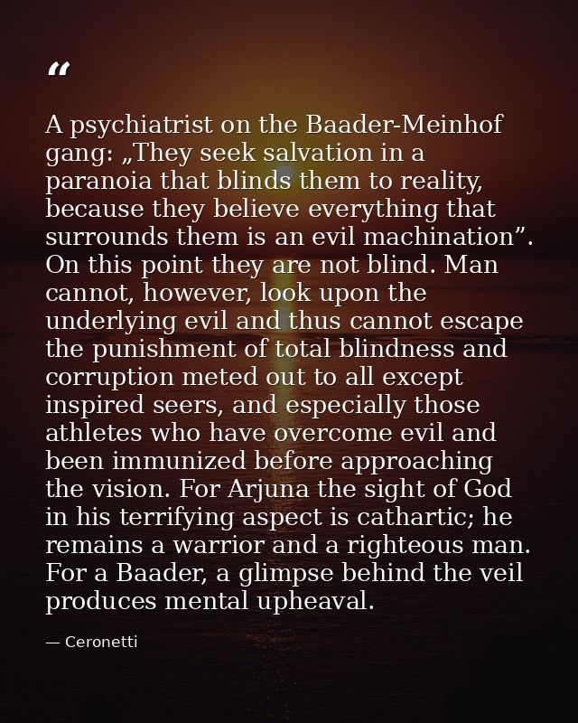 A psychiatrist on the Baader-Meinhof gang: „They seek salvation in a paranoia that blinds them to reality, because they  — Ceronetti