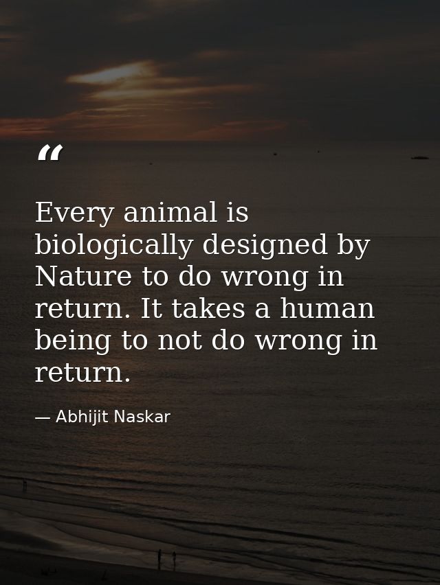 Every animal is biologically designed by Nature to do wrong in return. It takes a human being to not do wrong in return. — Abhijit Naskar