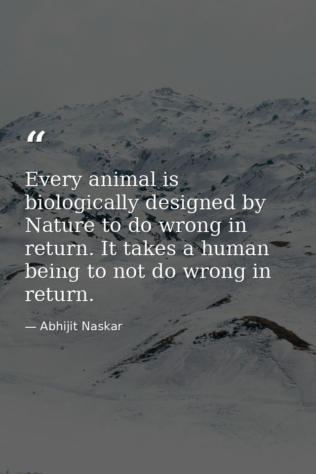 Every animal is biologically designed by Nature to do wrong in return. It takes a human being to not do wrong in return. — Abhijit Naskar