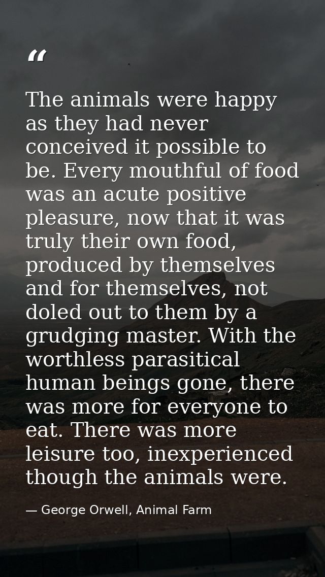 The animals were happy as they had never conceived it possible to be. Every mouthful of food was an acute positive pleas — George Orwell, Animal Farm