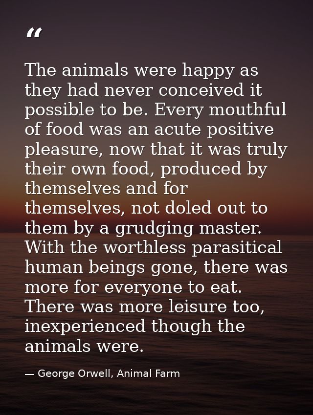 The animals were happy as they had never conceived it possible to be. Every mouthful of food was an acute positive pleas — George Orwell, Animal Farm