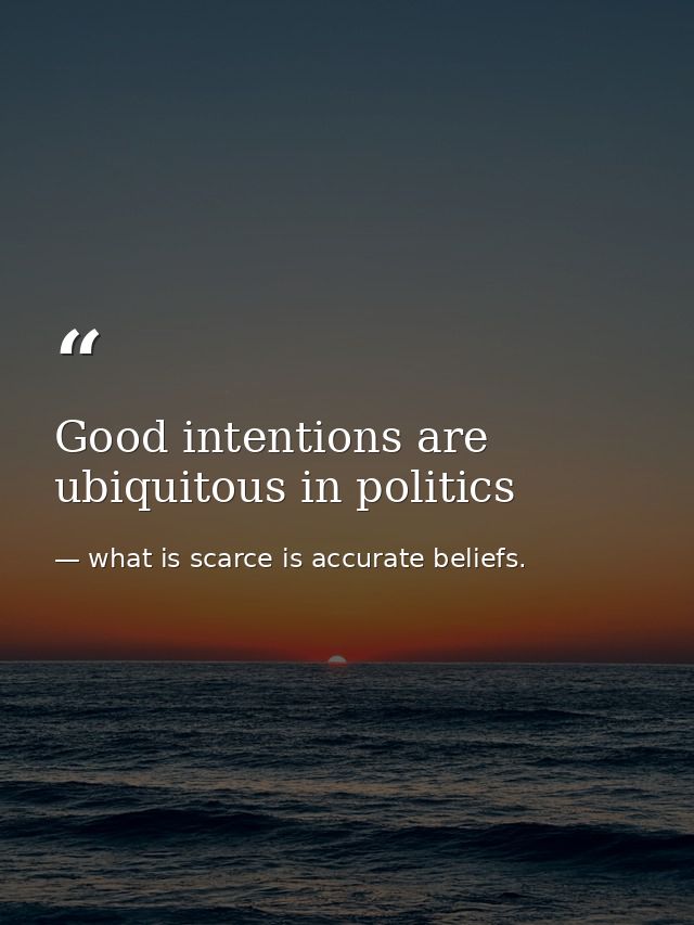 Good intentions are ubiquitous in politics — what is scarce is accurate beliefs.