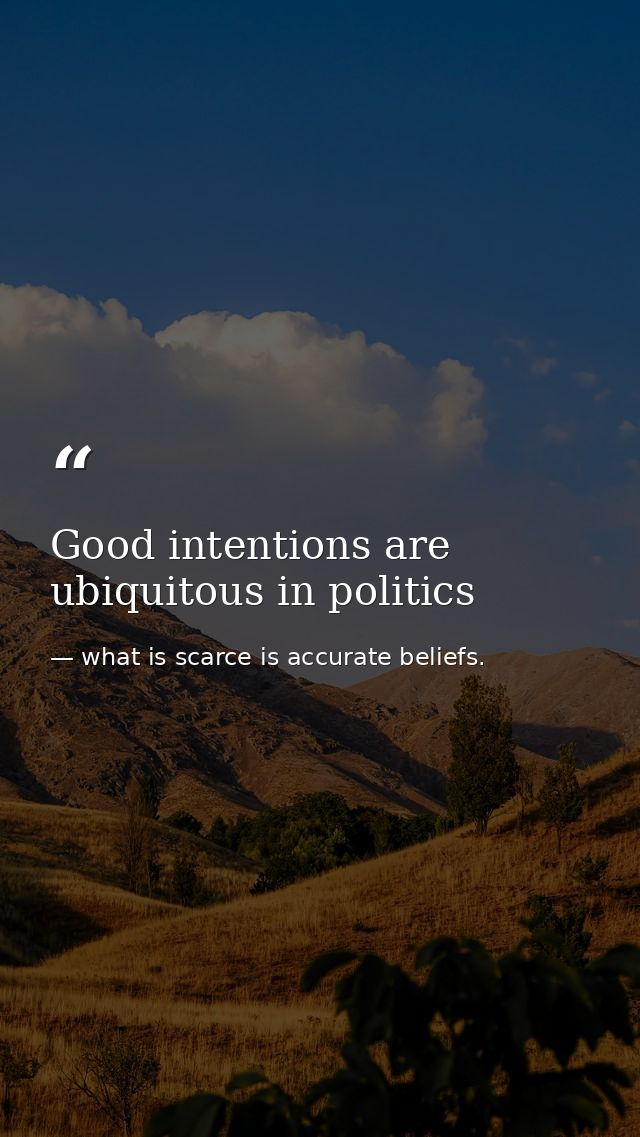 Good intentions are ubiquitous in politics — what is scarce is accurate beliefs.