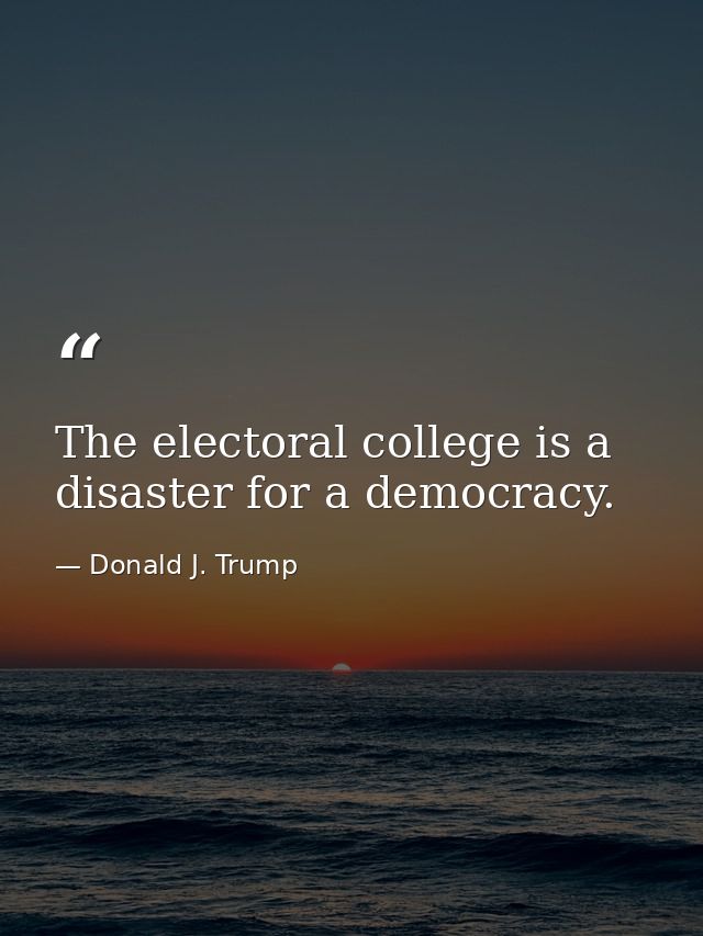 The electoral college is a disaster for a democracy. — Donald J. Trump