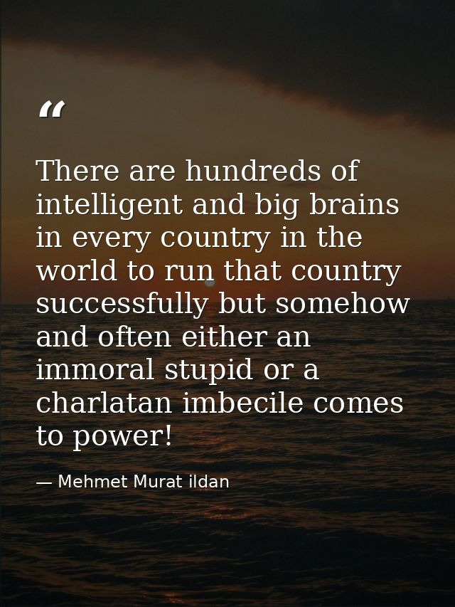 There are hundreds of intelligent and big brains in every country in the world to run that country successfully but some — Mehmet Murat ildan