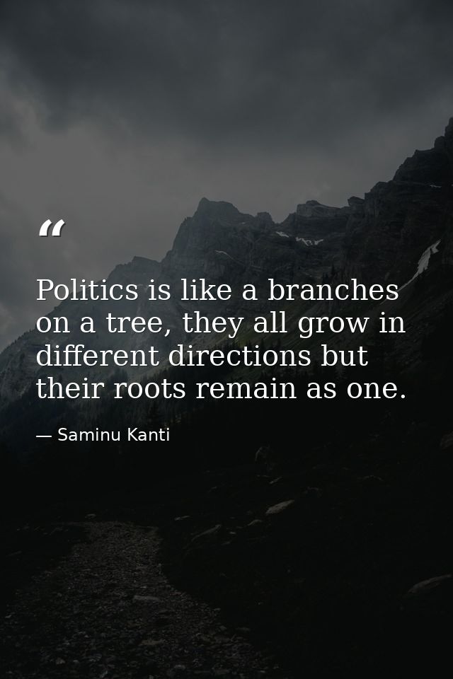 Politics is like a branches on a tree, they all grow in different directions but their roots remain as one. — Saminu Kanti