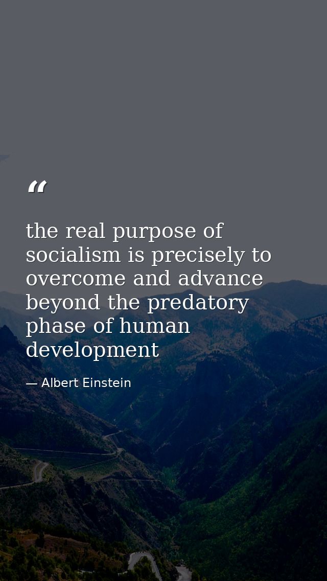 the real purpose of socialism is precisely to overcome and advance beyond the predatory phase of human development — Albert Einstein