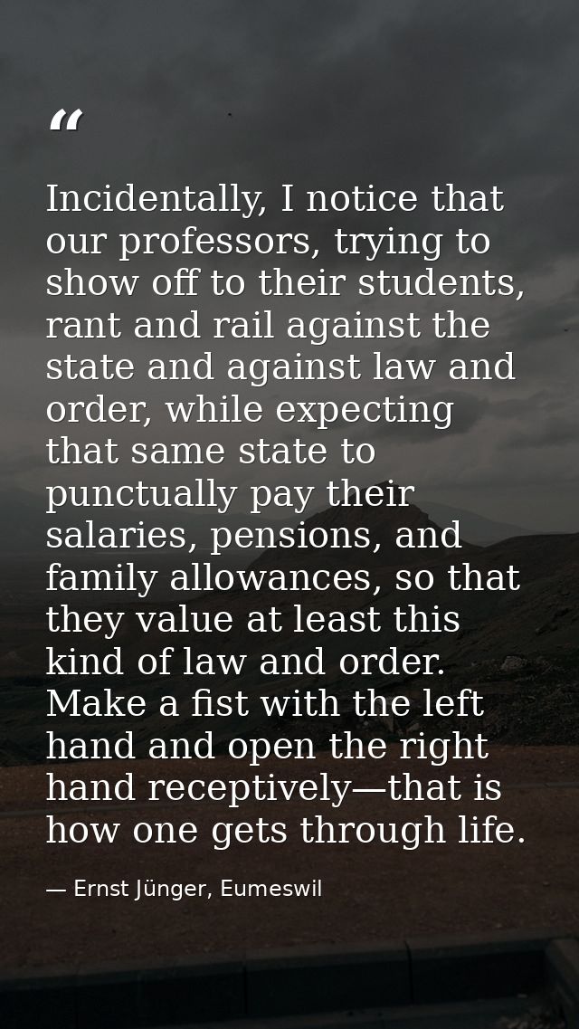 Incidentally, I notice that our professors, trying to show off to their students, rant and rail against the state and ag — Ernst Jünger, Eumeswil