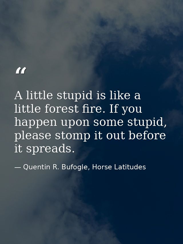A little stupid is like a little forest fire. If you happen upon some stupid, please stomp it out before it spreads. — Quentin R. Bufogle, Horse Latitudes