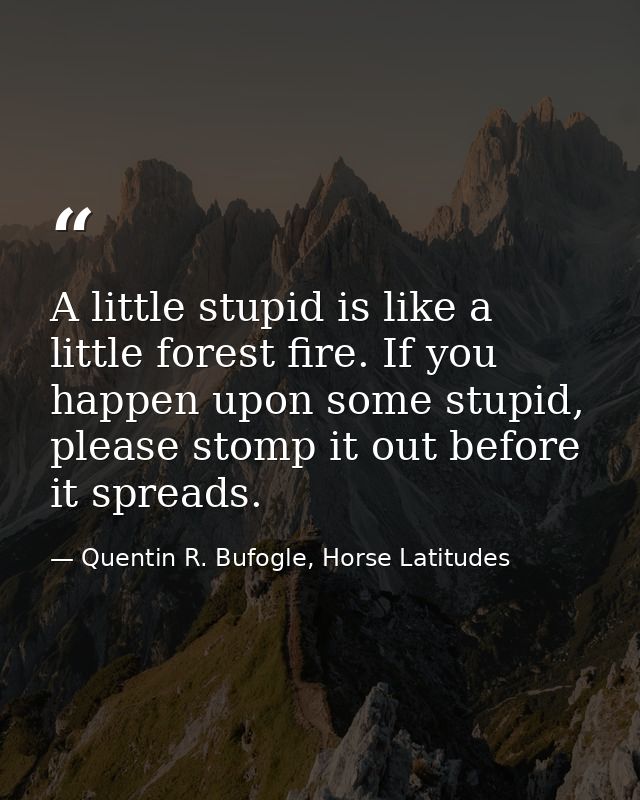 A little stupid is like a little forest fire. If you happen upon some stupid, please stomp it out before it spreads. — Quentin R. Bufogle, Horse Latitudes