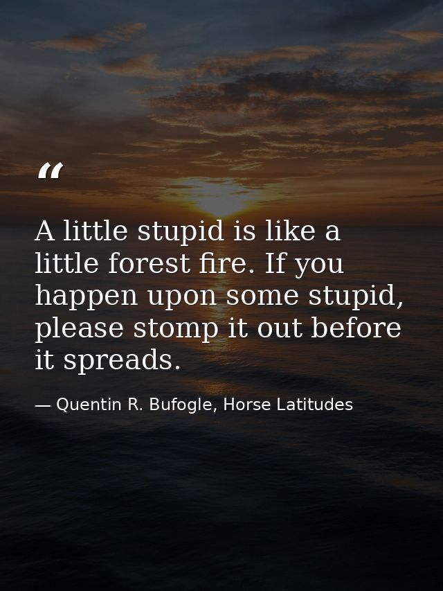 A little stupid is like a little forest fire. If you happen upon some stupid, please stomp it out before it spreads. — Quentin R. Bufogle, Horse Latitudes