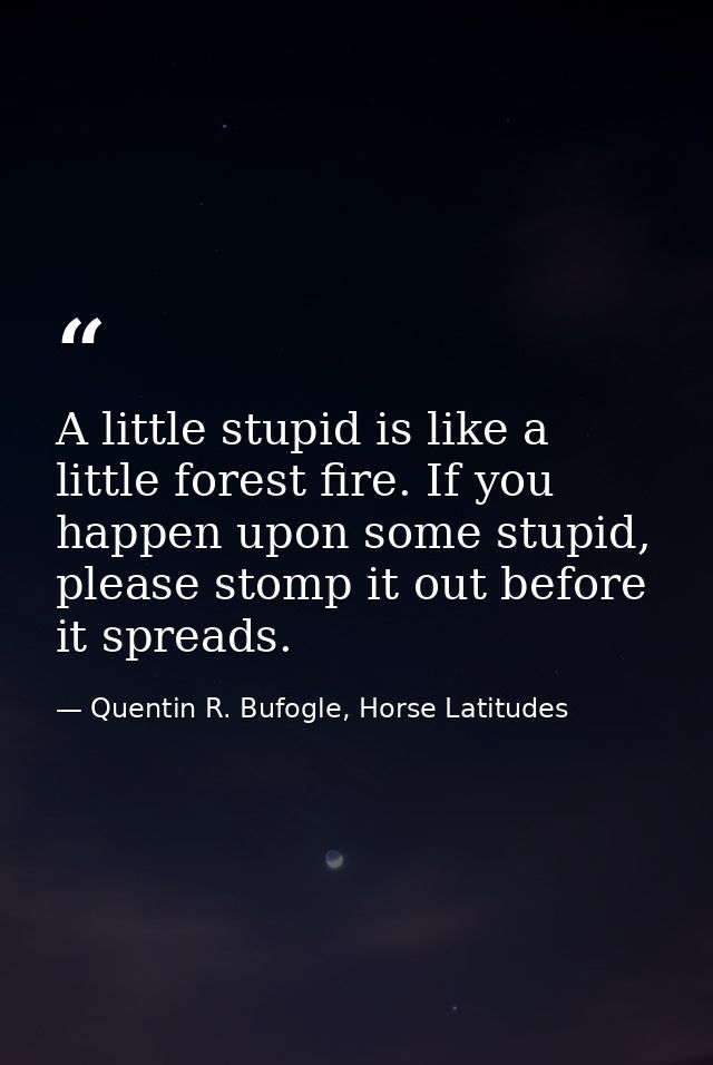 A little stupid is like a little forest fire. If you happen upon some stupid, please stomp it out before it spreads. — Quentin R. Bufogle, Horse Latitudes