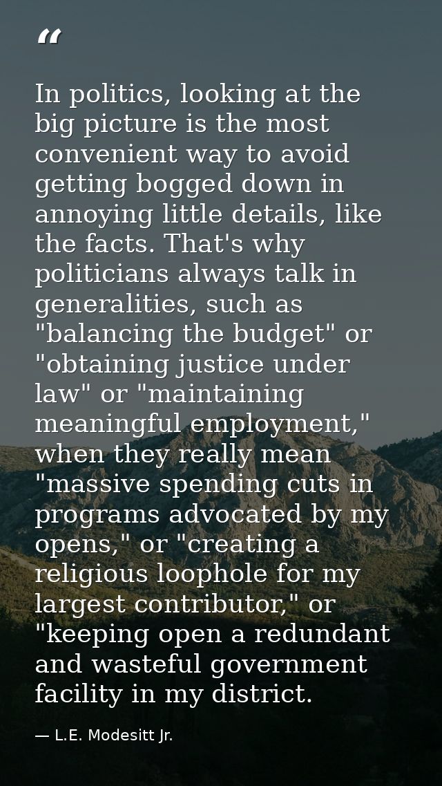 In politics, looking at the big picture is the most convenient way to avoid getting bogged down in annoying little detai — L.E. Modesitt Jr.