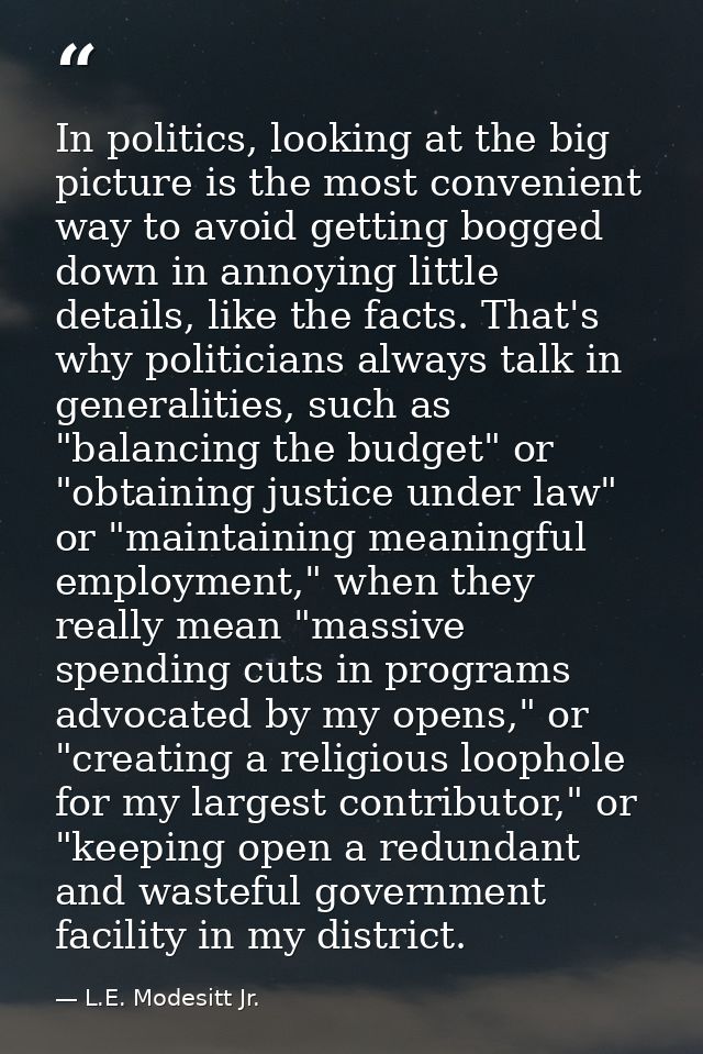 In politics, looking at the big picture is the most convenient way to avoid getting bogged down in annoying little detai — L.E. Modesitt Jr.