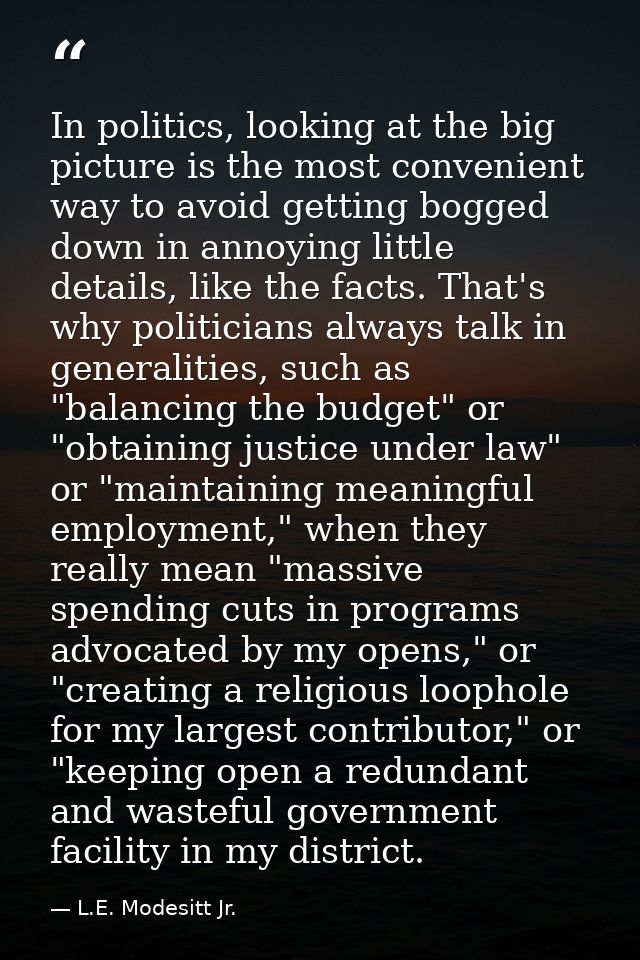 In politics, looking at the big picture is the most convenient way to avoid getting bogged down in annoying little detai — L.E. Modesitt Jr.