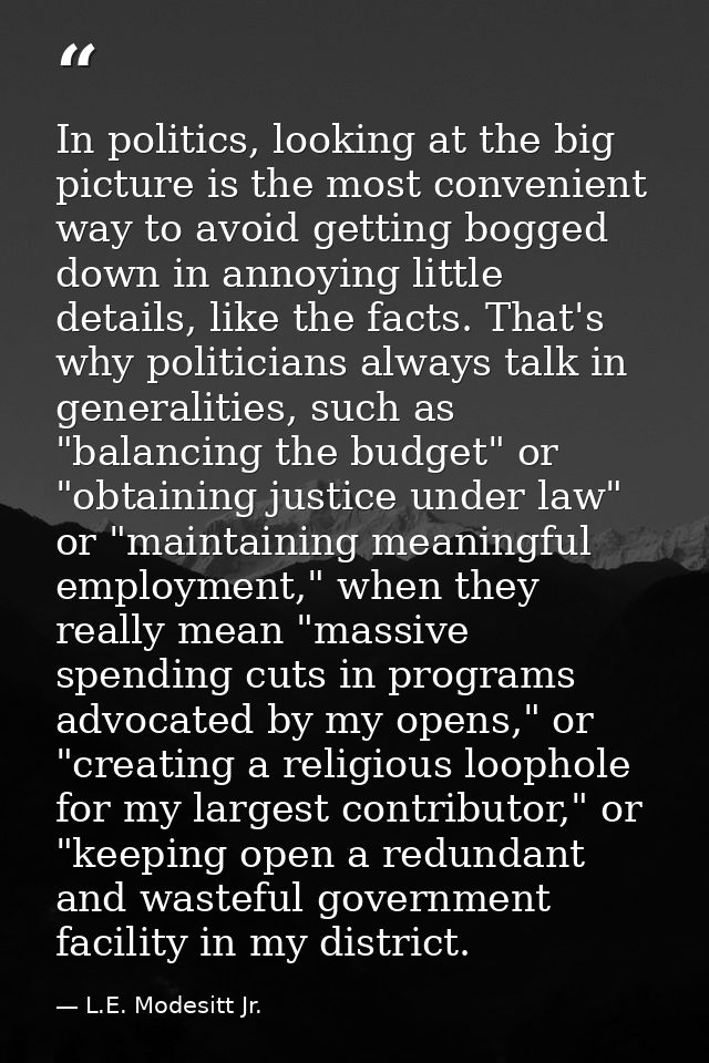 In politics, looking at the big picture is the most convenient way to avoid getting bogged down in annoying little detai — L.E. Modesitt Jr.