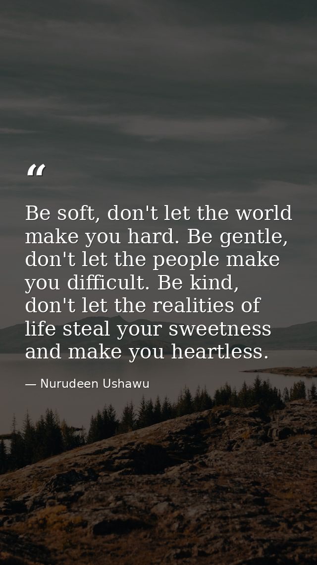 Be soft, don't let the world make you hard. Be gentle, don't let the people make you difficult. Be kind, don't let the r — Nurudeen Ushawu