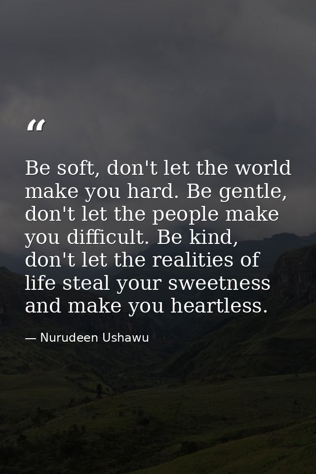 Be soft, don't let the world make you hard. Be gentle, don't let the people make you difficult. Be kind, don't let the r — Nurudeen Ushawu