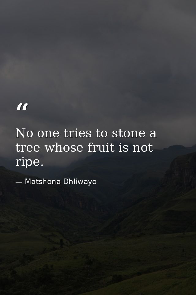 No one tries to stone a tree whose fruit is not ripe. — Matshona Dhliwayo
