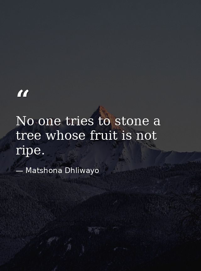 No one tries to stone a tree whose fruit is not ripe. — Matshona Dhliwayo