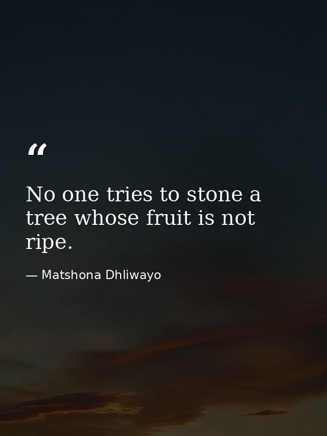No one tries to stone a tree whose fruit is not ripe. — Matshona Dhliwayo
