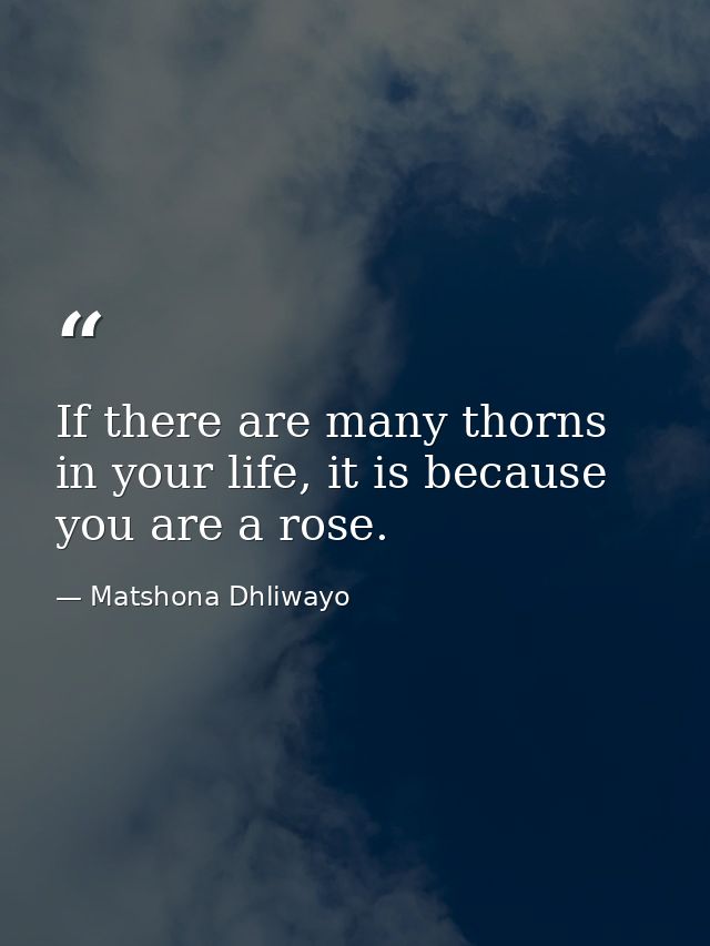 If there are many thorns in your life, it is because you are a rose. — Matshona Dhliwayo