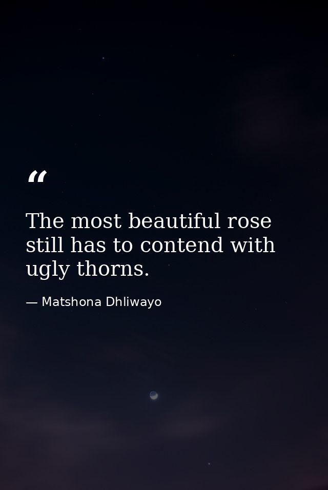 The most beautiful rose still has to contend with ugly thorns. — Matshona Dhliwayo
