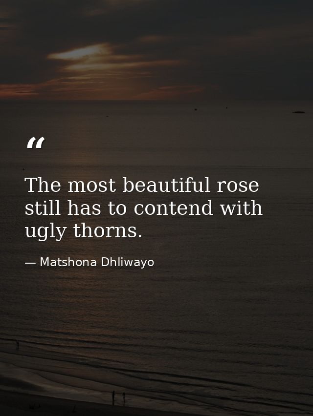 The most beautiful rose still has to contend with ugly thorns. — Matshona Dhliwayo