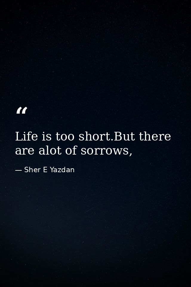 Life is too short.But there are alot of sorrows, — Sher E Yazdan