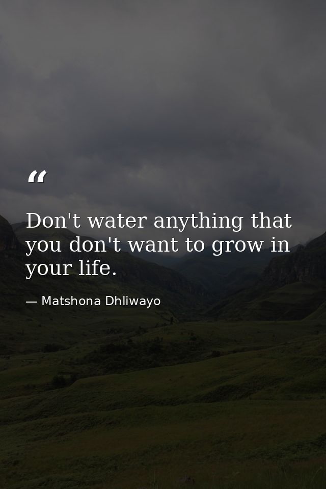 Don't water anything that you don't want to grow in your life. — Matshona Dhliwayo