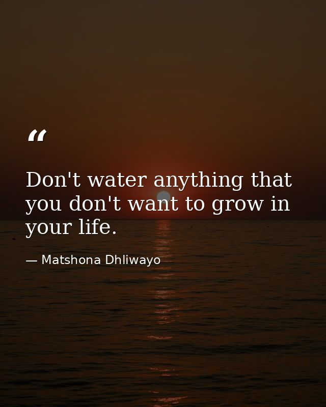 Don't water anything that you don't want to grow in your life. — Matshona Dhliwayo