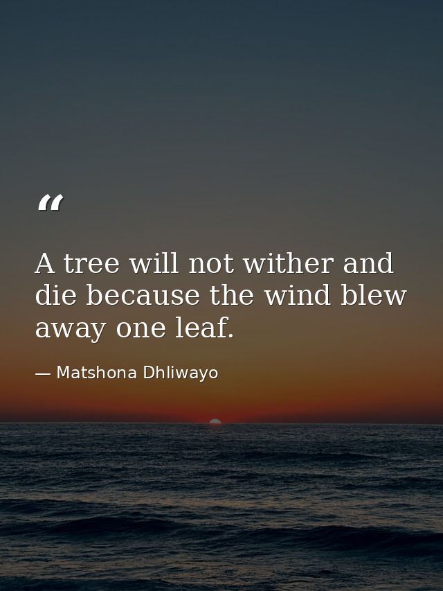 A tree will not wither and die because the wind blew away one leaf. — Matshona Dhliwayo