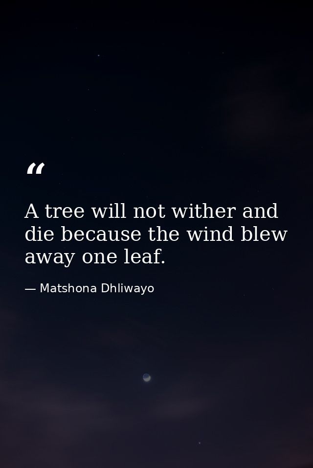 A tree will not wither and die because the wind blew away one leaf. — Matshona Dhliwayo
