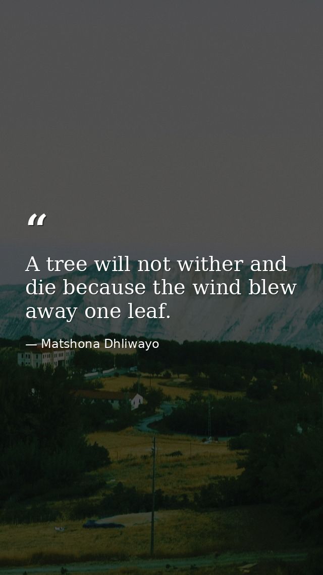 A tree will not wither and die because the wind blew away one leaf. — Matshona Dhliwayo