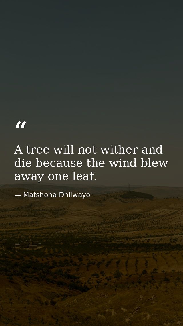 A tree will not wither and die because the wind blew away one leaf. — Matshona Dhliwayo