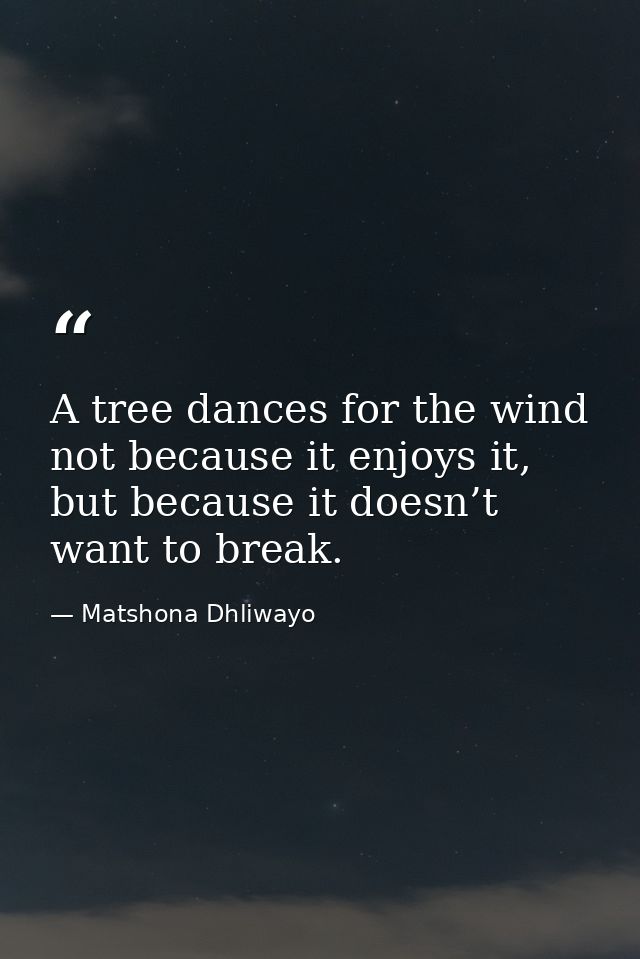 A tree dances for the wind not because it enjoys it, but because it doesn’t want to break. — Matshona Dhliwayo