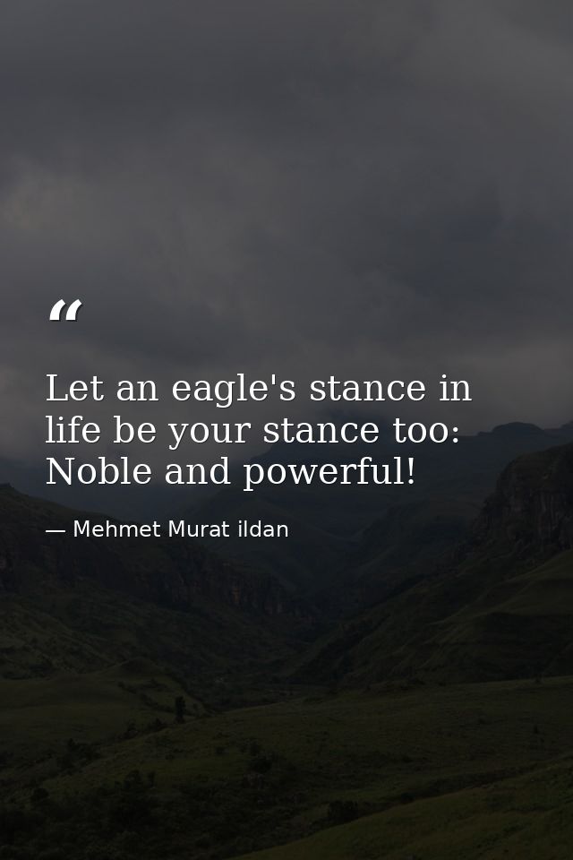 Let an eagle's stance in life be your stance too: Noble and powerful! — Mehmet Murat ildan