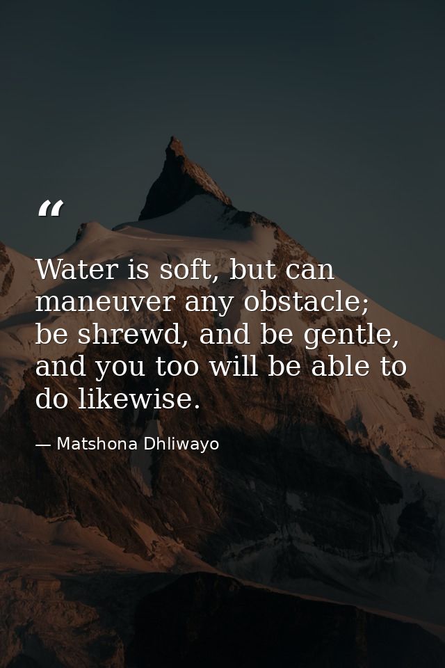 Water is soft, but can maneuver any obstacle; be shrewd, and be gentle, and you too will be able to do likewise. — Matshona Dhliwayo